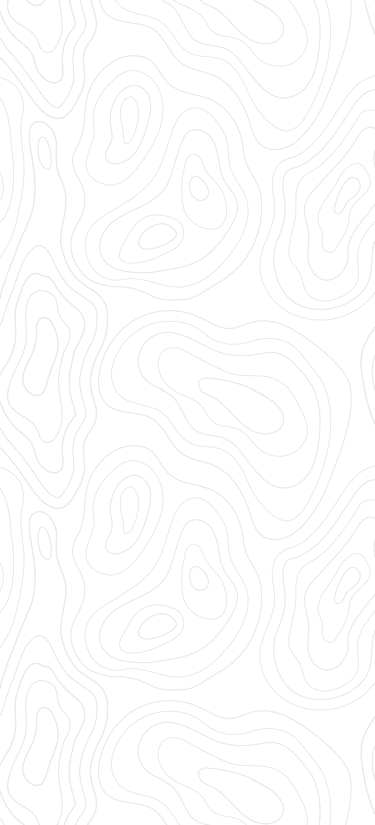 background-topo