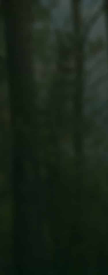 huntstand-app-mobile-bg