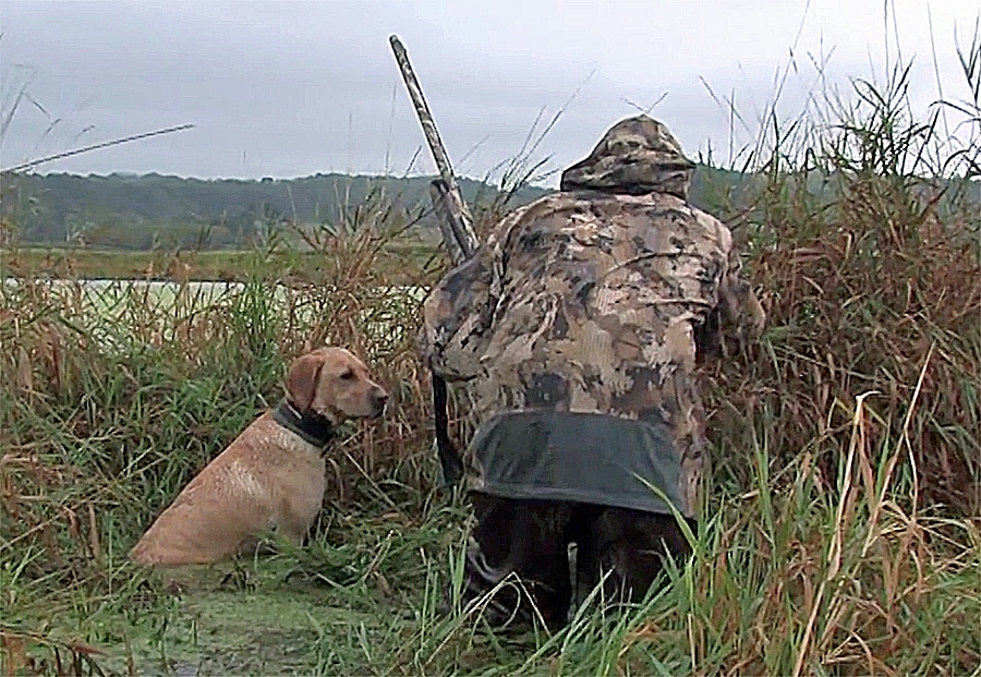 Find The Best PublicLand Waterfowl Hunting Hotspots HuntStand