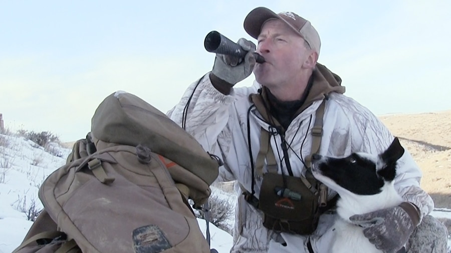 coyote howl call