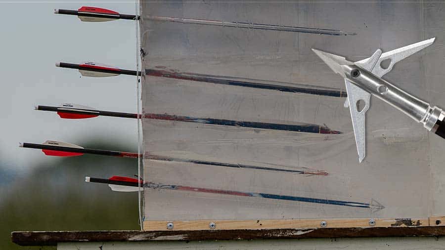 Best New Crossbow Broadheads Of 2021 [Field Test] HuntStand