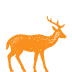 Deer-Orange