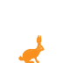 Small-Game-Orange