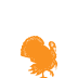 Turkey-Orange