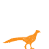 Upland-Orange