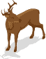 deer-brown