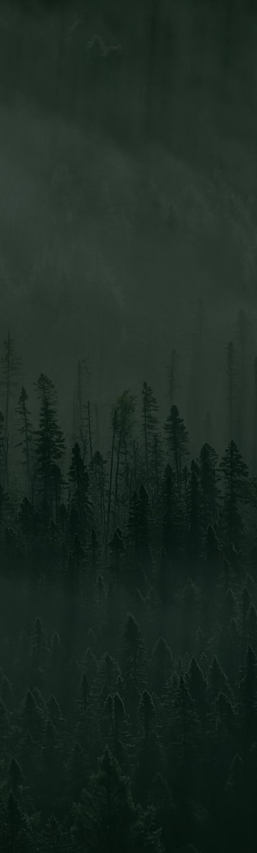 field-b-banner-bg