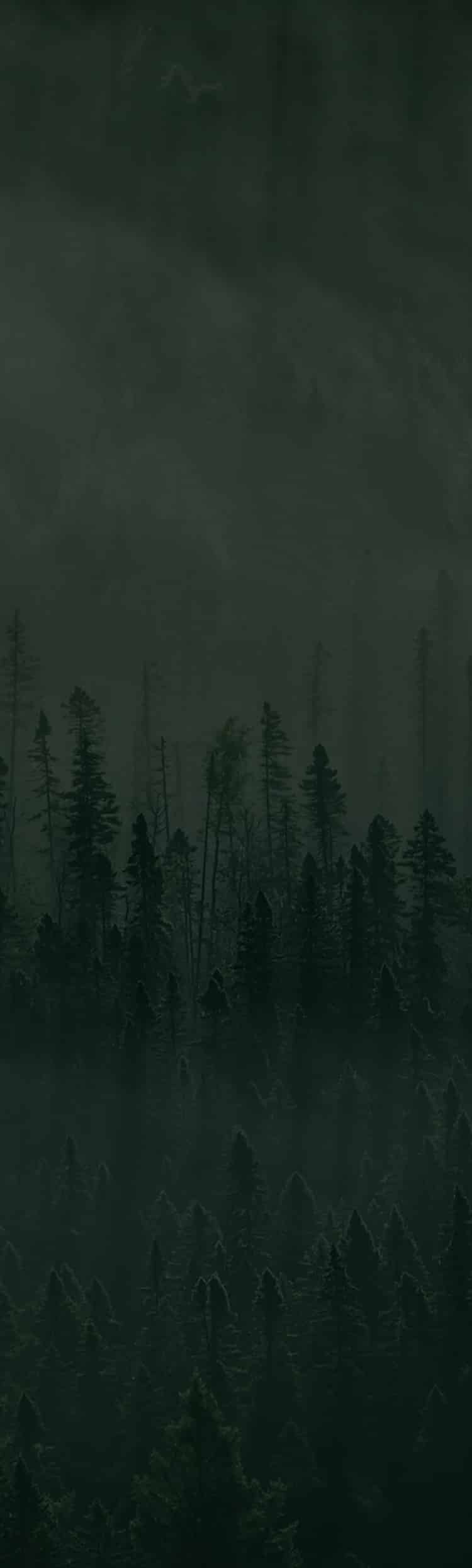 Tips tactics archives hunt stand