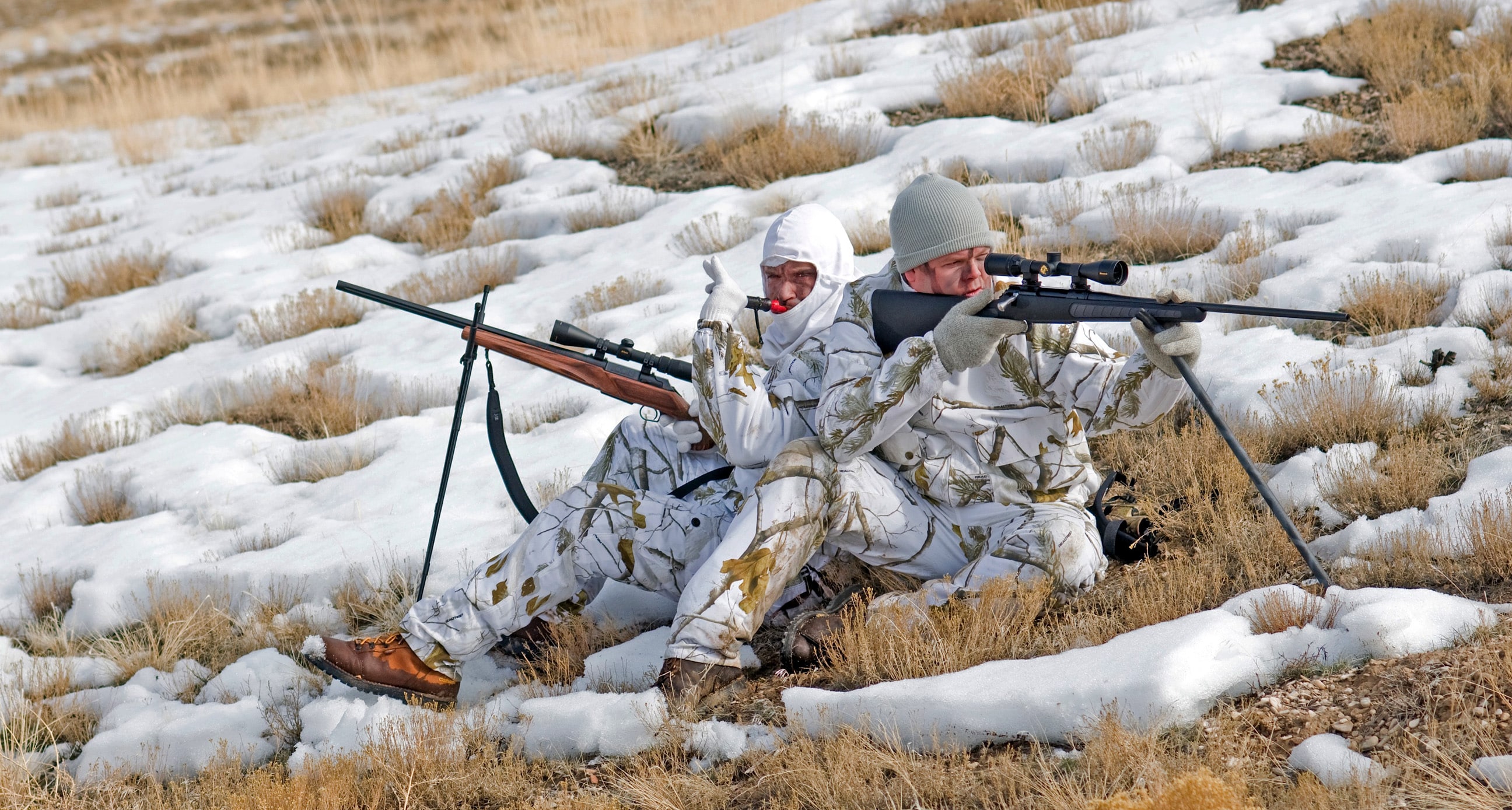 Calling Coyotes