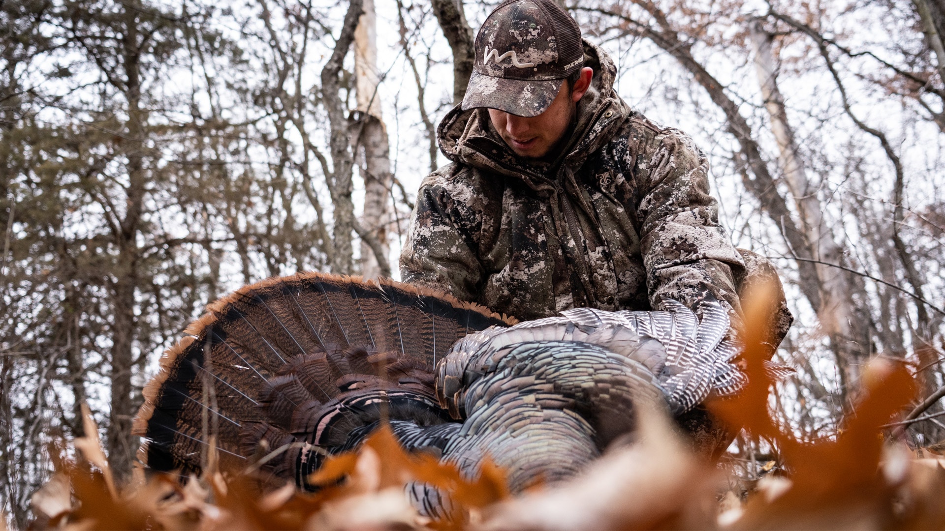 hunting fall turkeys with a crossbow