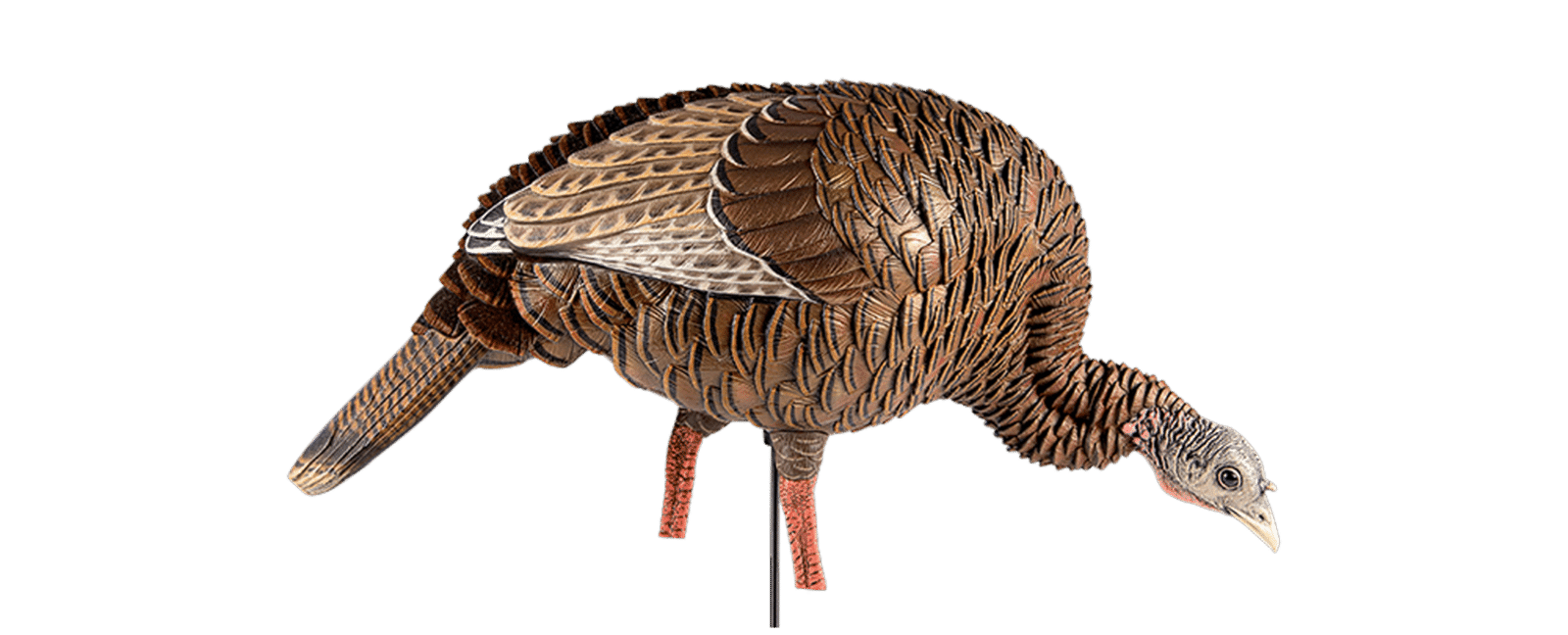 Avian-X HDR Feeder Hen