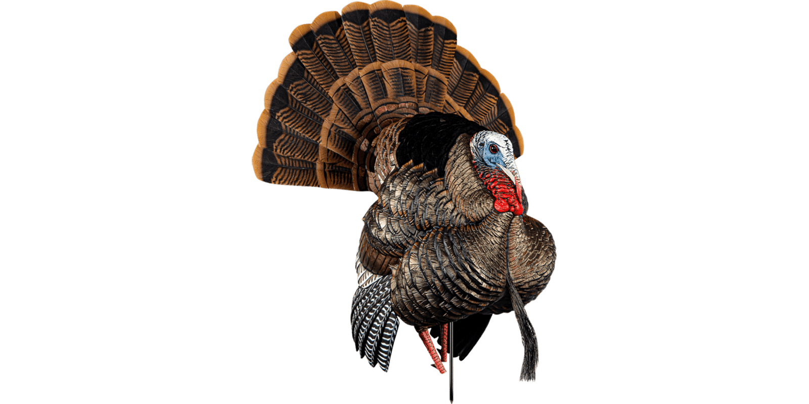 Avian-X HDR Strutter