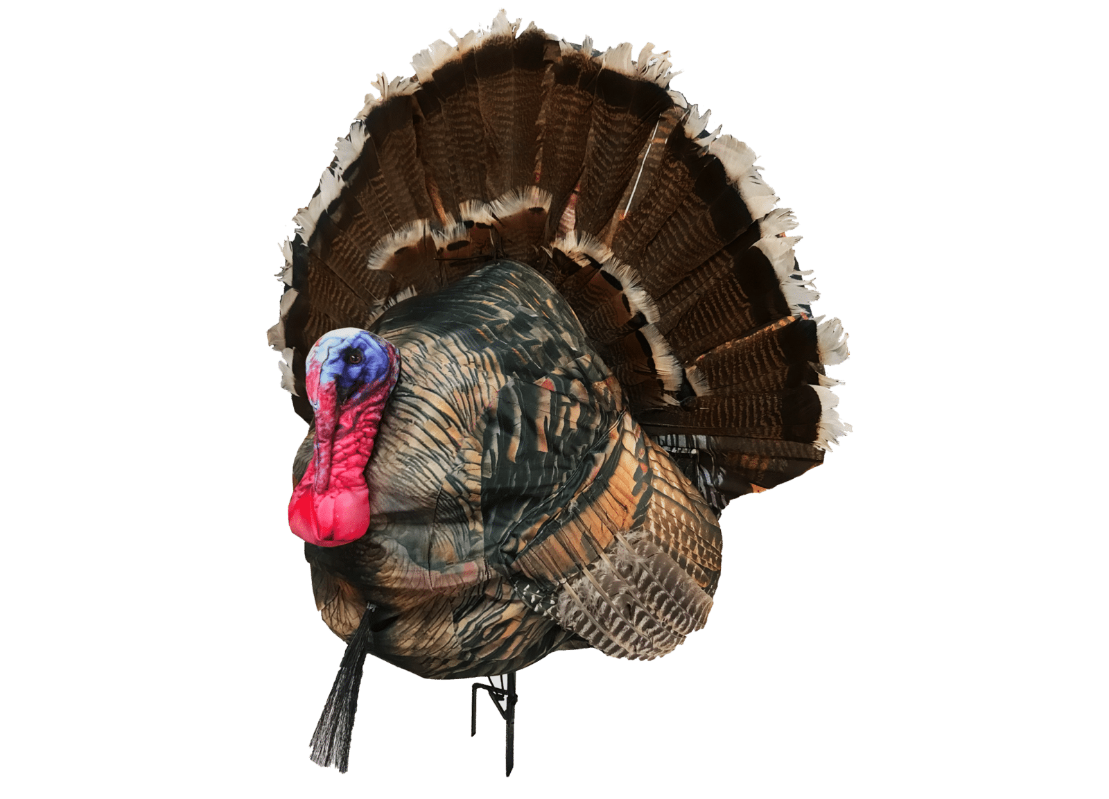 Montana Decoy Wiley Tom 3D