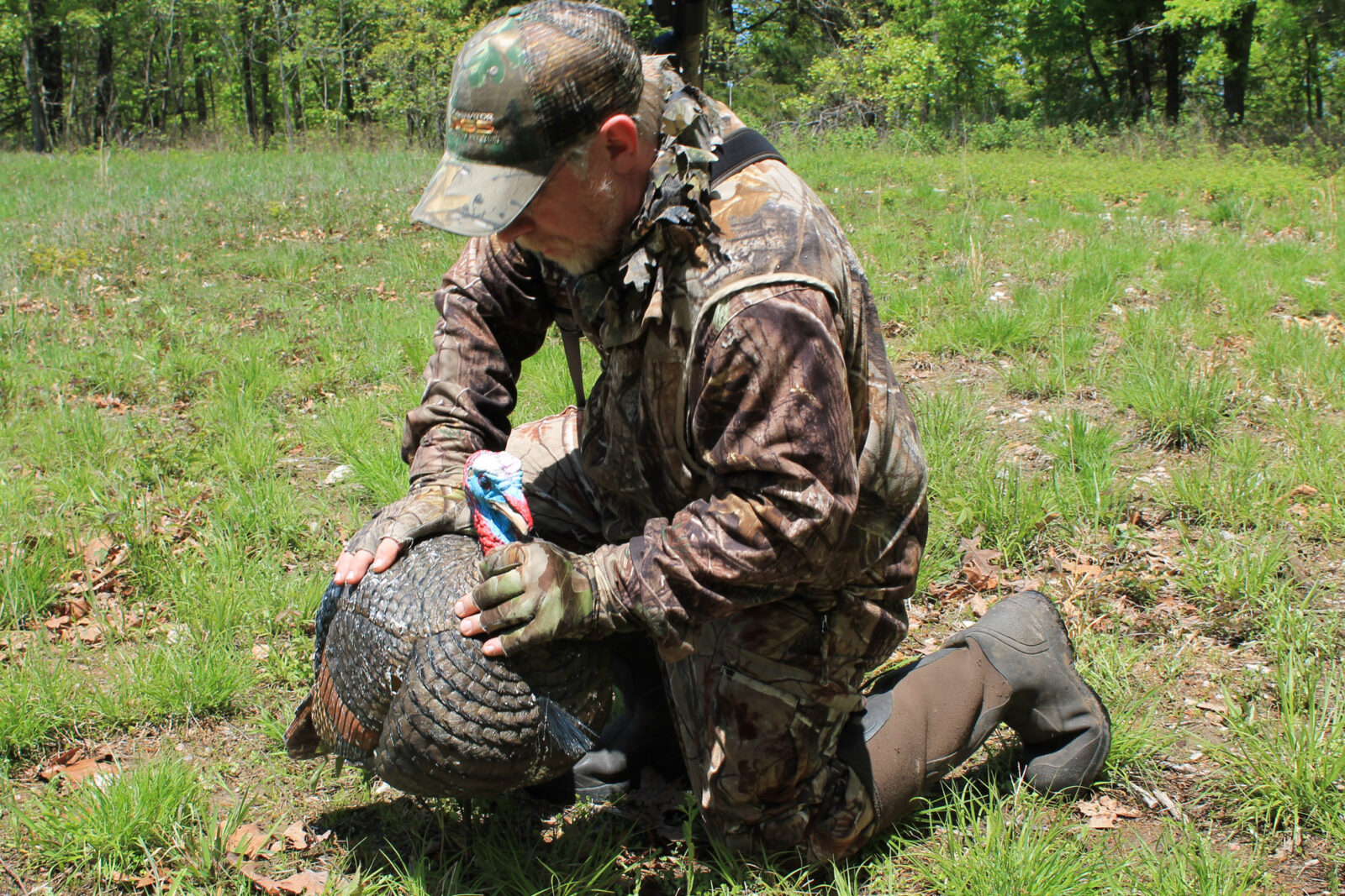 Turkey Hunting After Permission