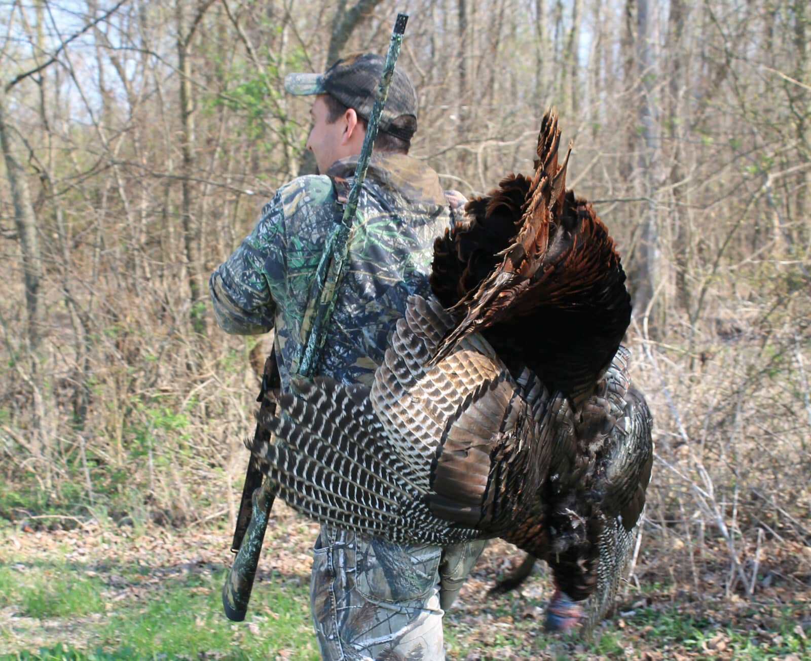 Turkey Permission Reward