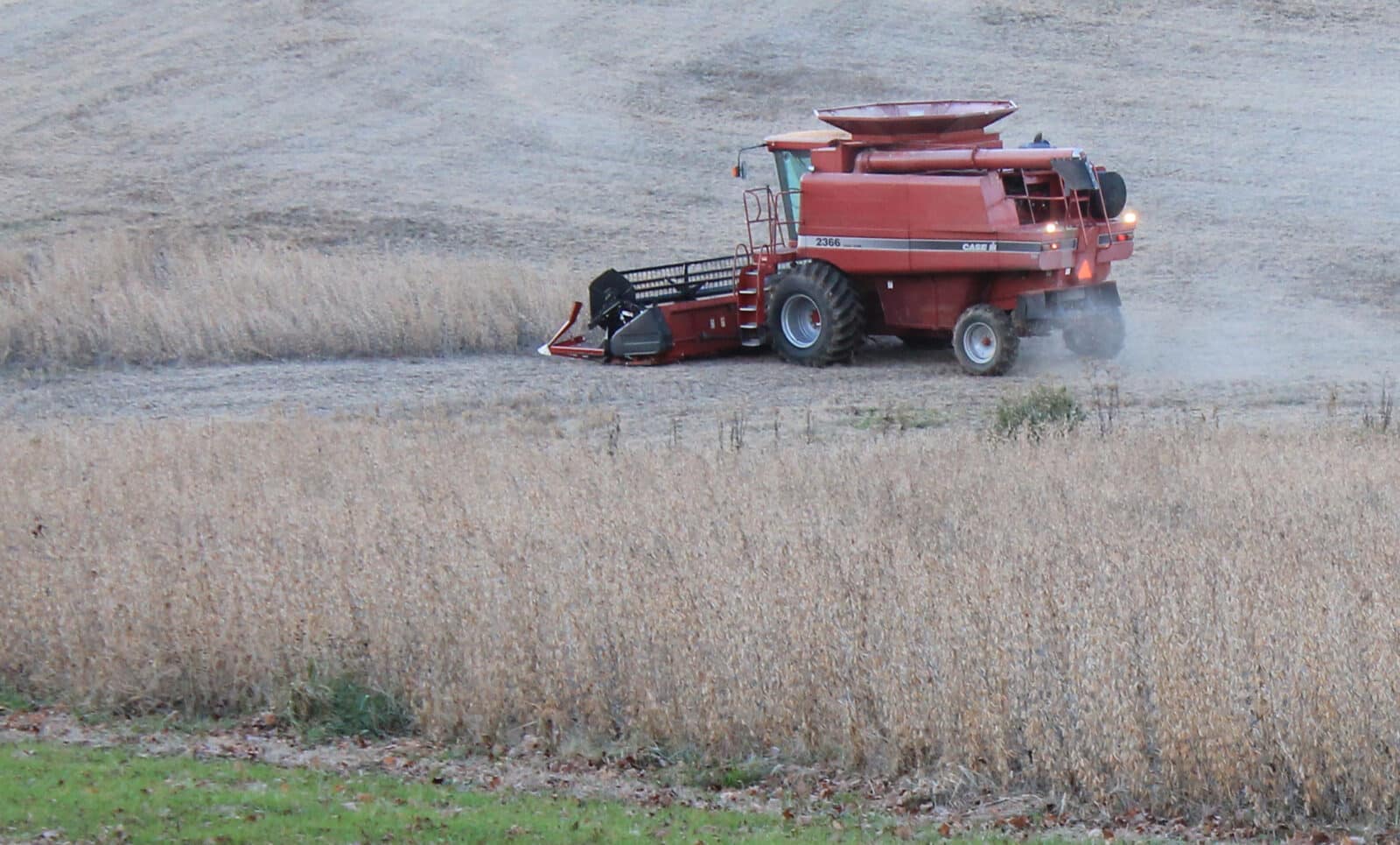 Turkey landowner/farmer