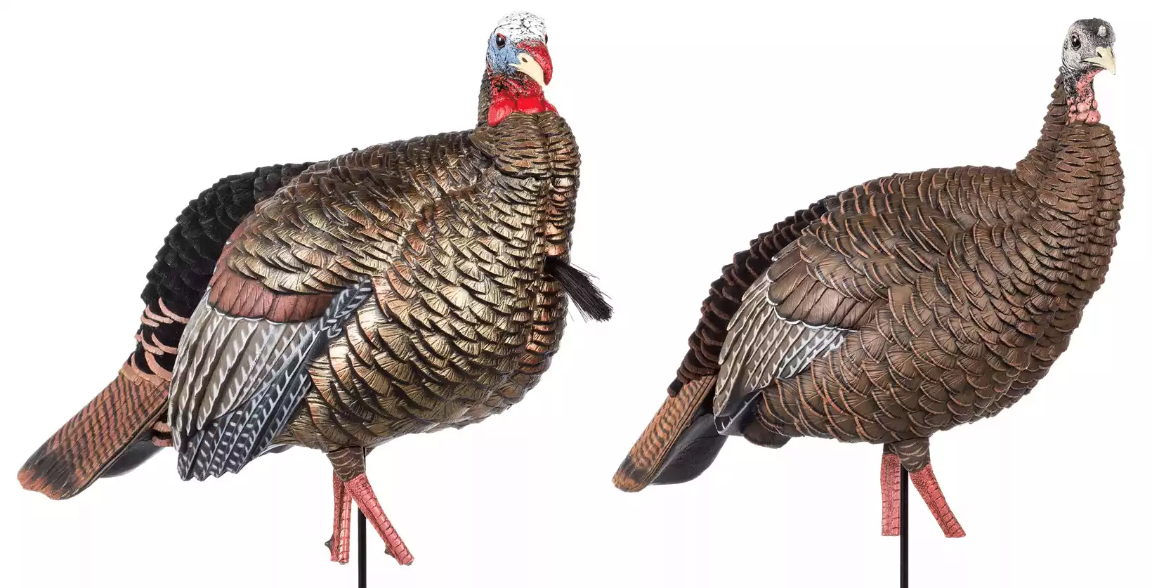 Avian-X HDR Jake and Hen Turkey Decoy Combo
