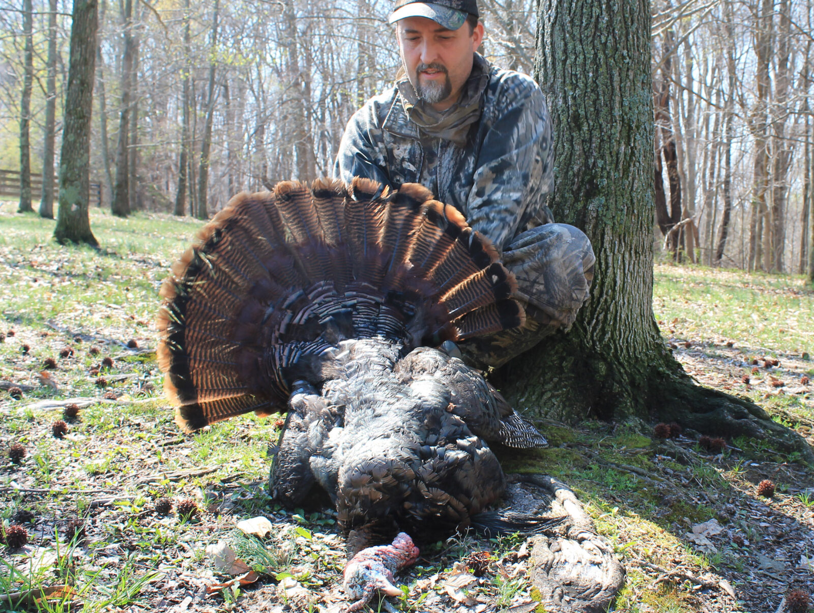 Out of state turkey success