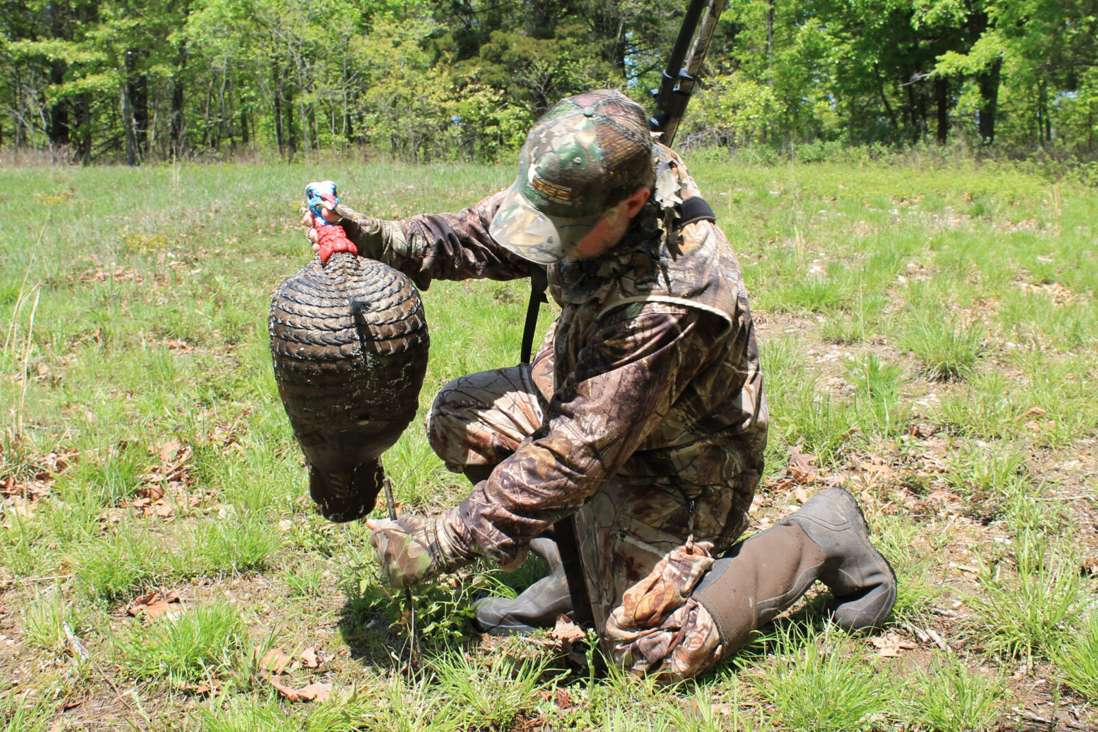 Setting Turkey Decoys On Public Land
