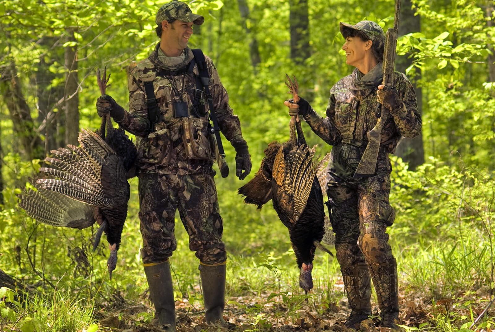 Two Tom Turkeys From Budget Hunt