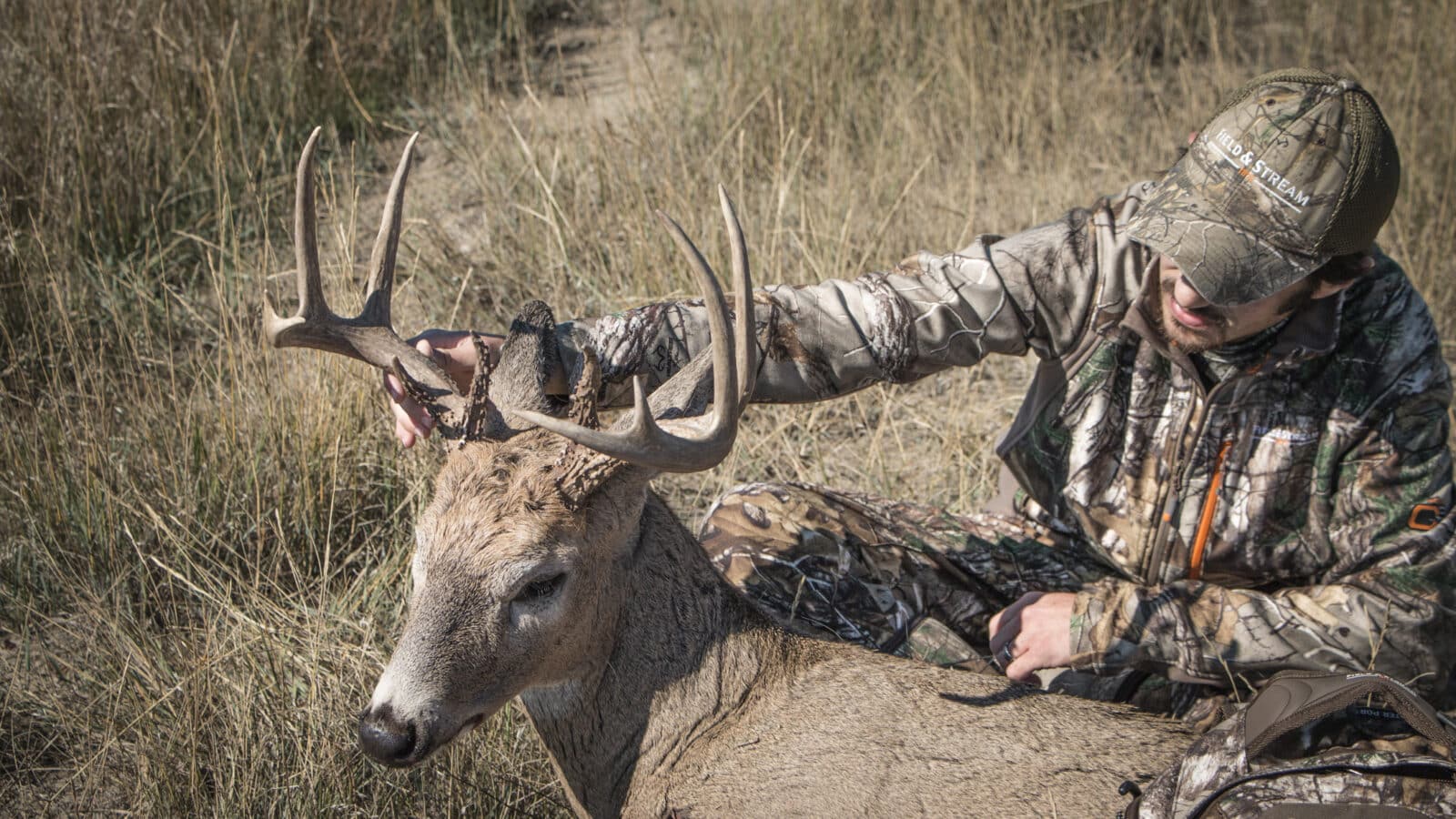 Deer Harvest Reduction?