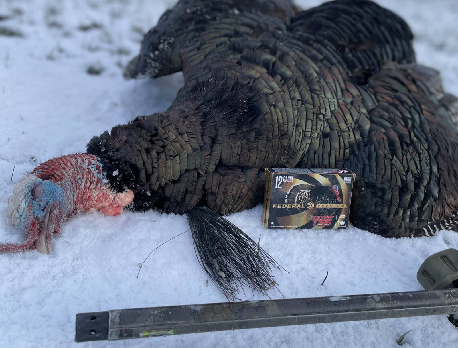 Tribute Hunt Turkey with Federal TSS