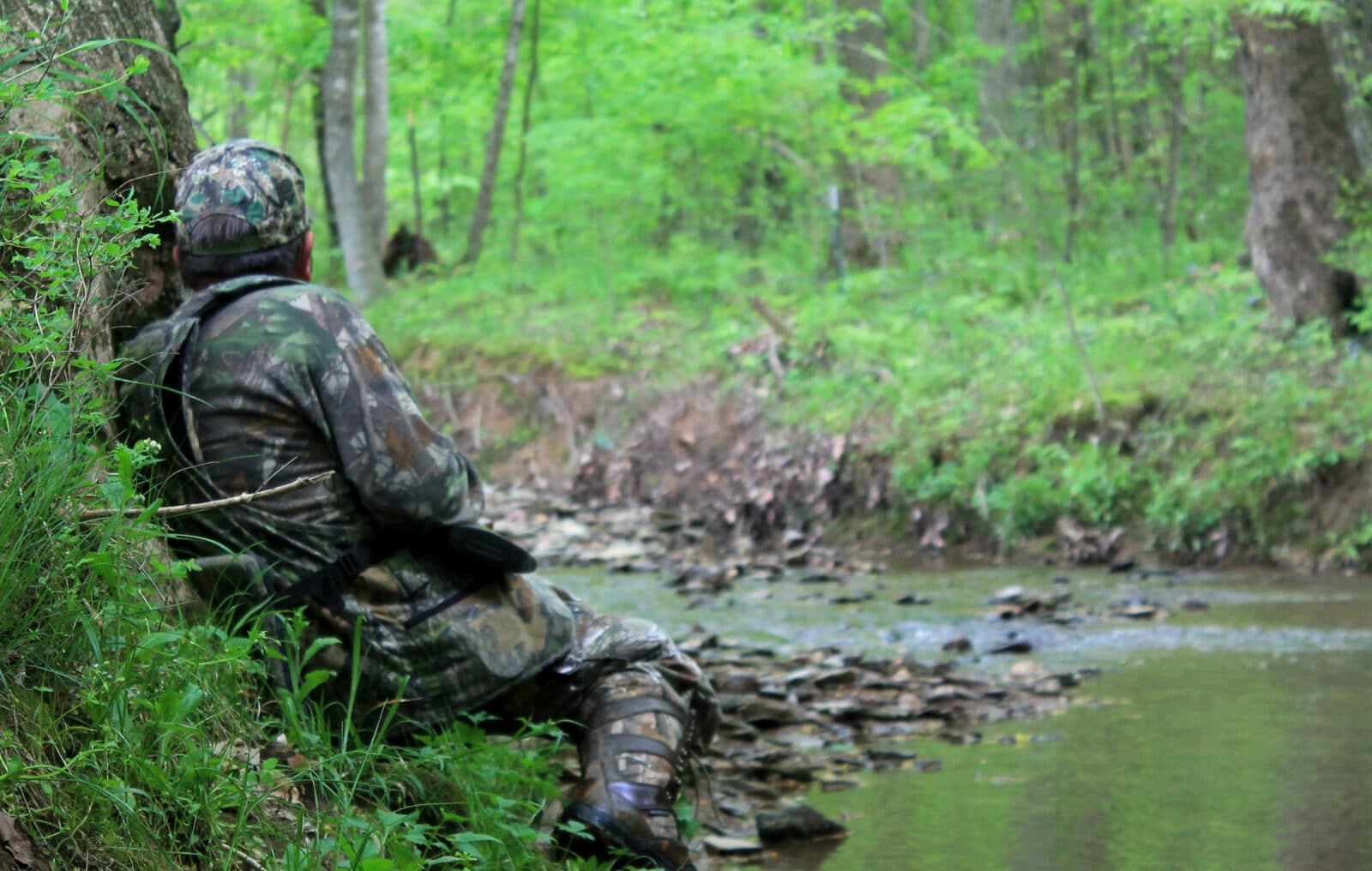 Turkey Hunter In Creek Bottom