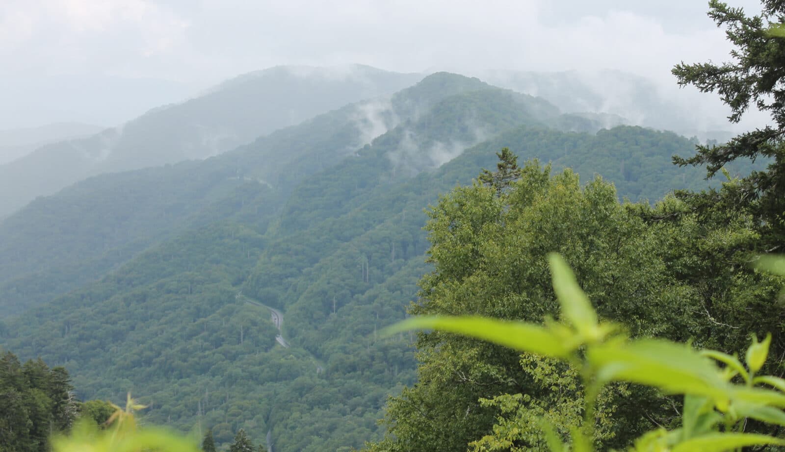 Hilly Turkey Terrain