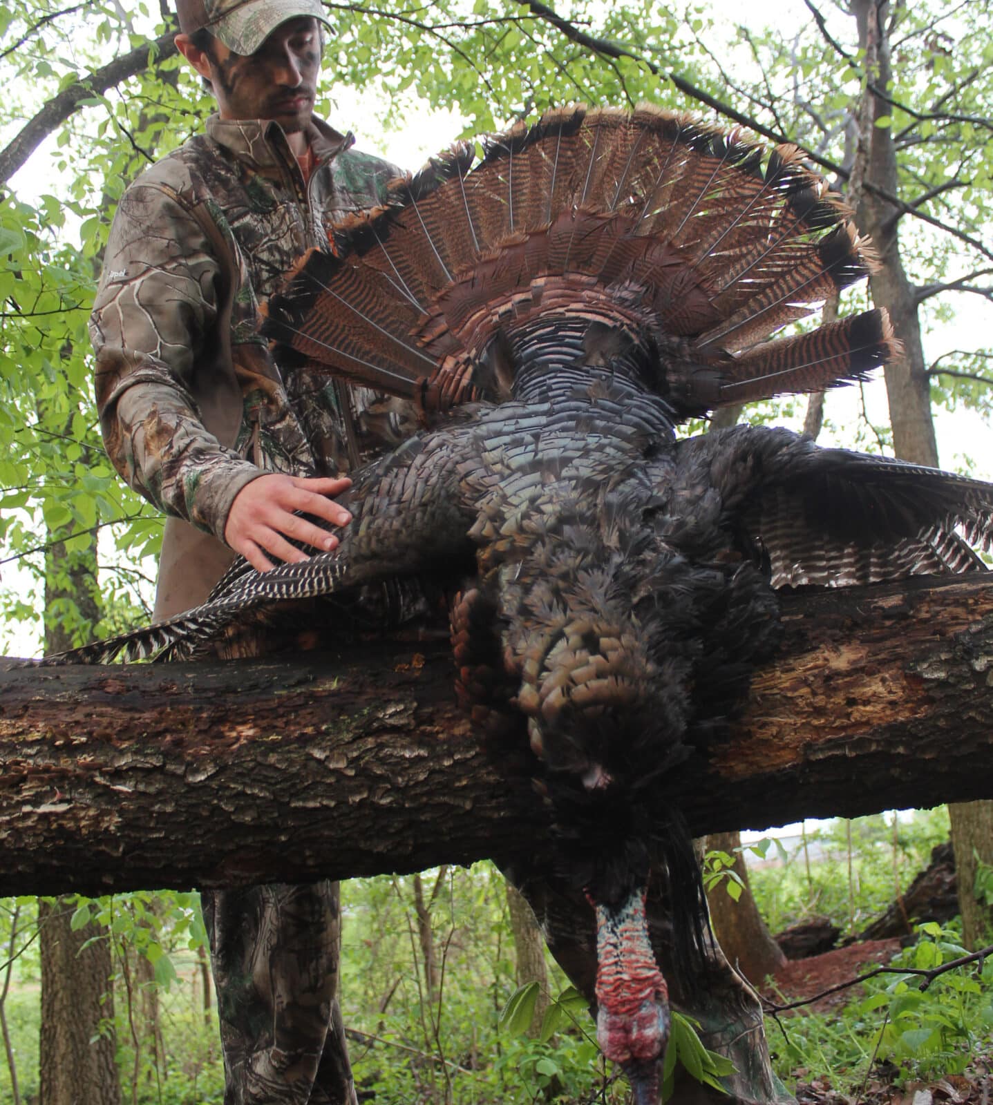 Successful Turkey Hunt Using Terrain Features
