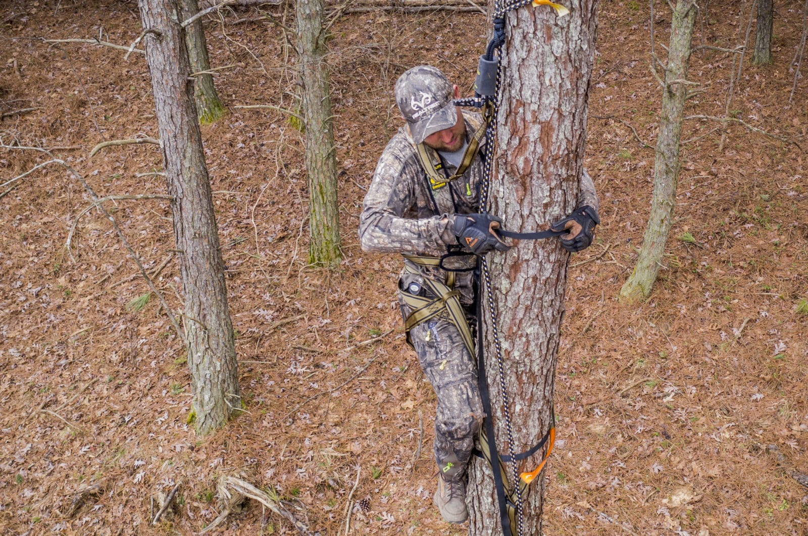 Setting A Pre-Rut Deer Stand