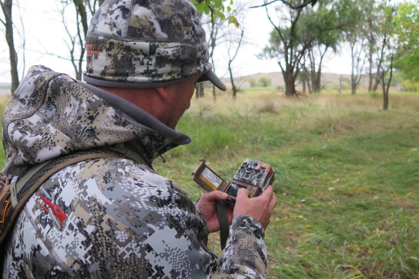 Deer Scouting New Ground