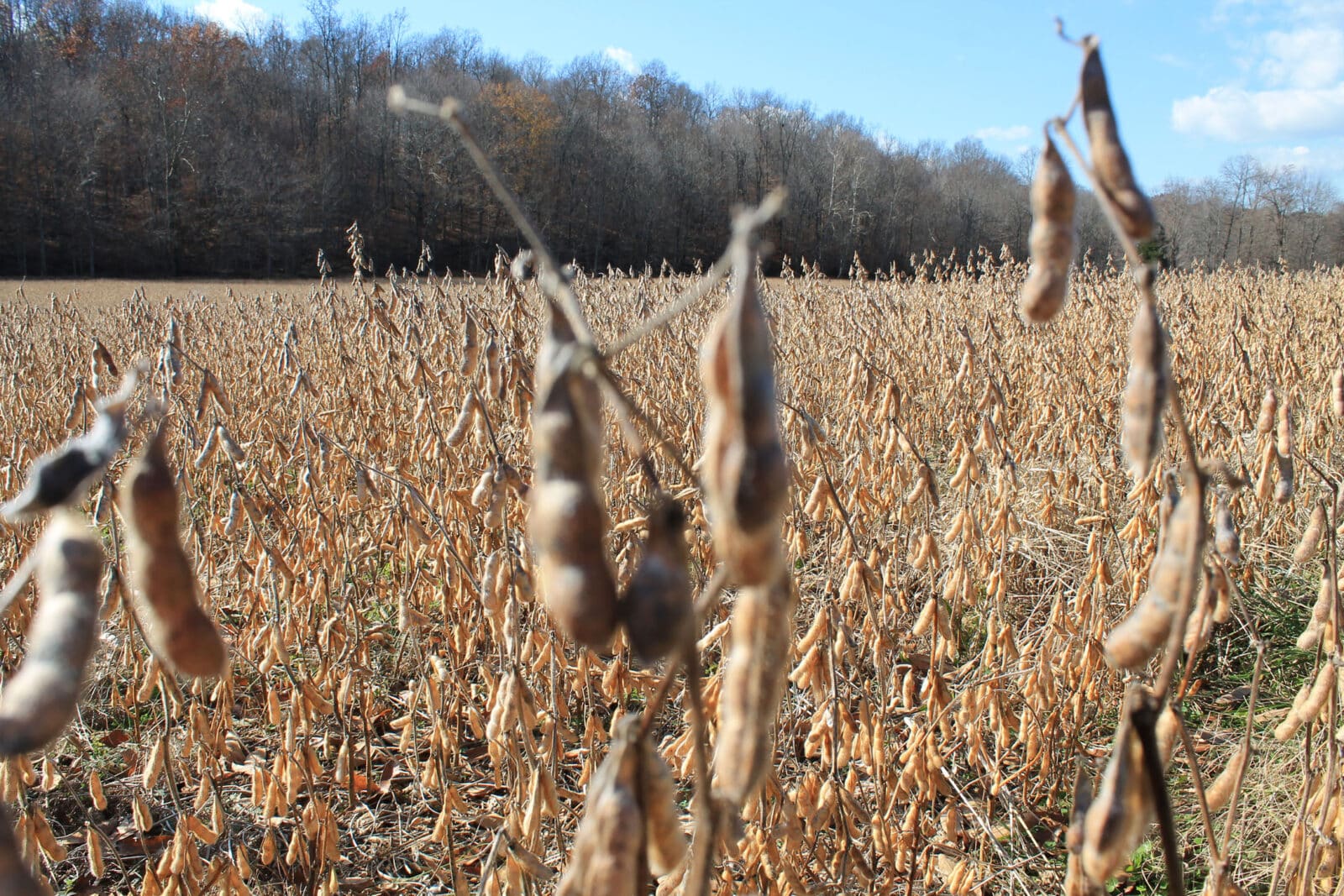 Examine crop rotations with HuntStand