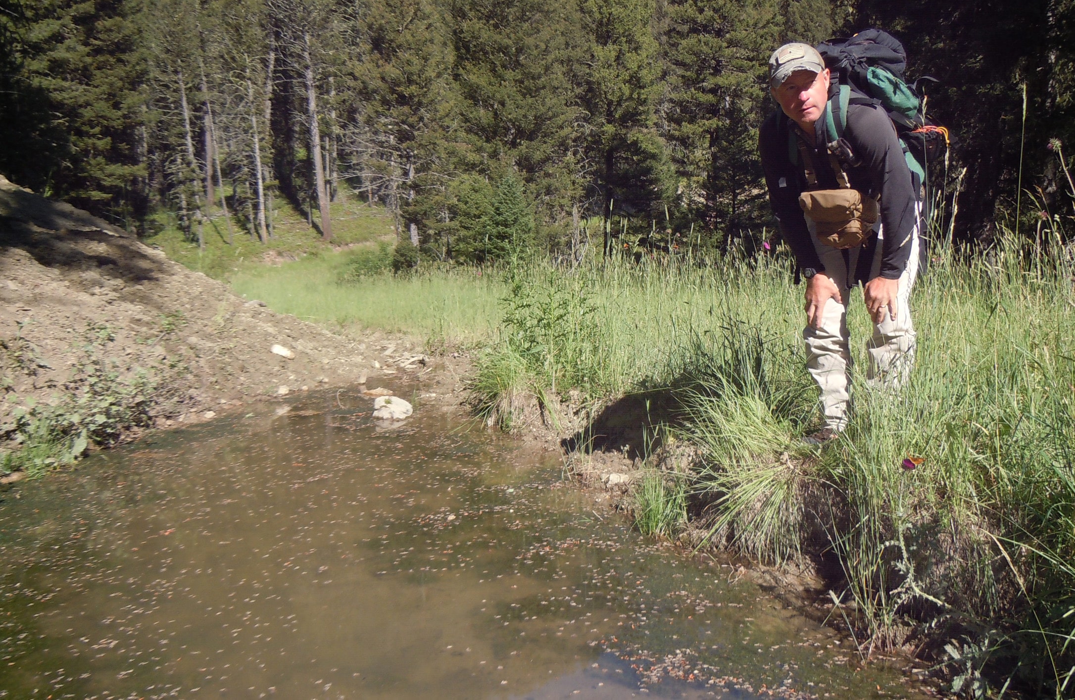 Marking An Elk Wallow