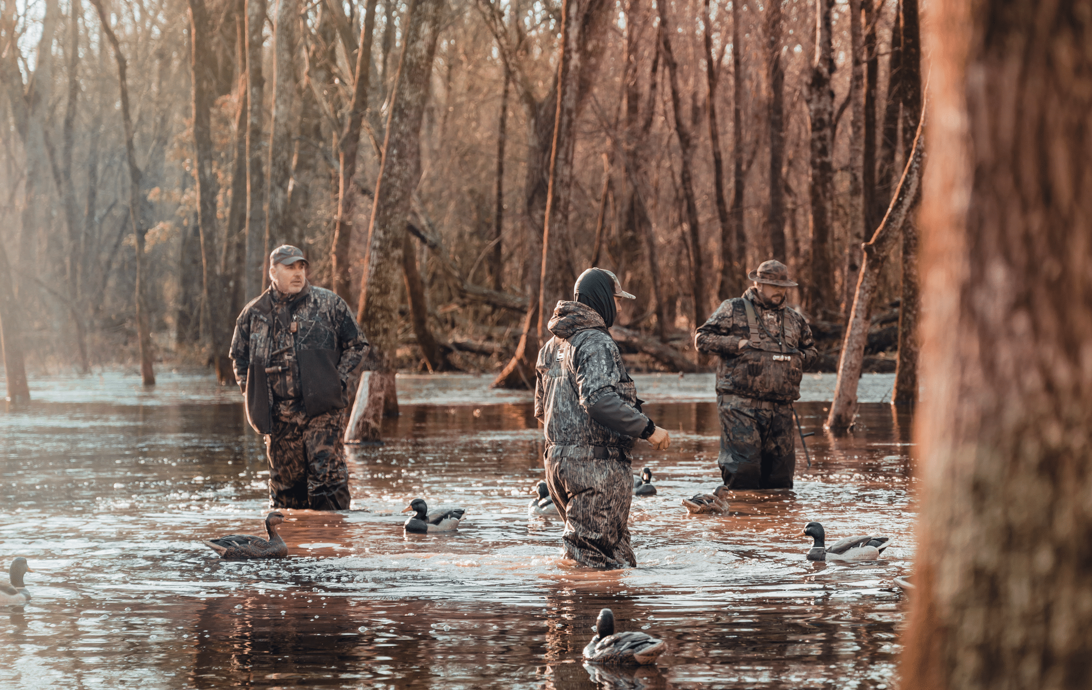 AcrePro Duck Hunting