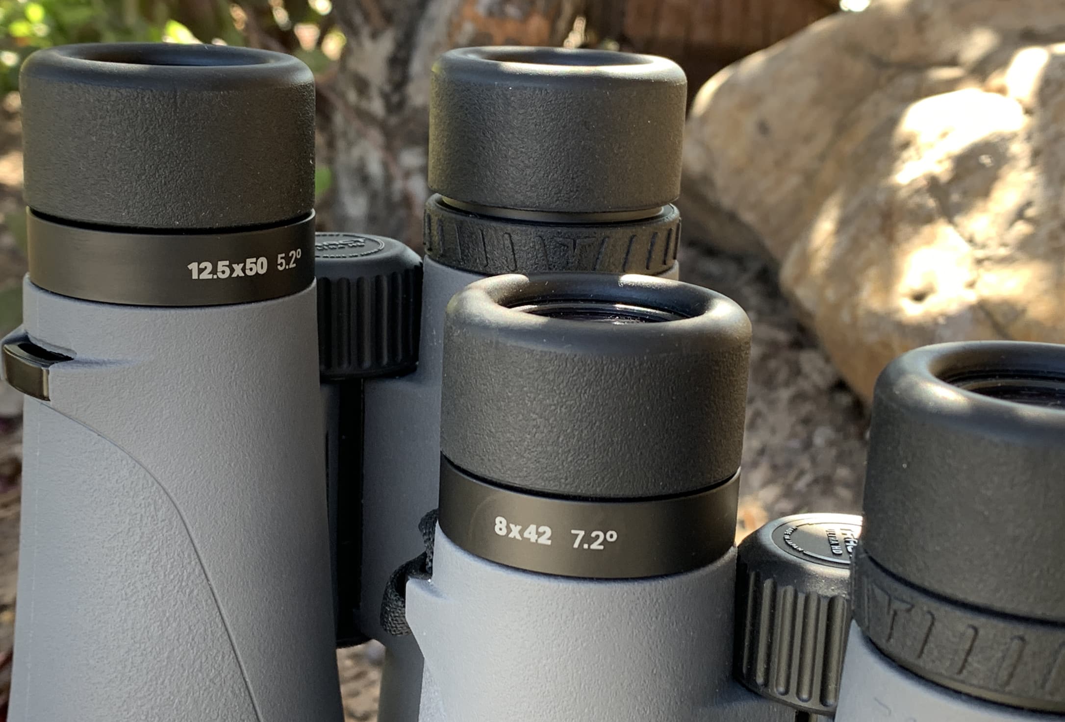 Binocular Magnification