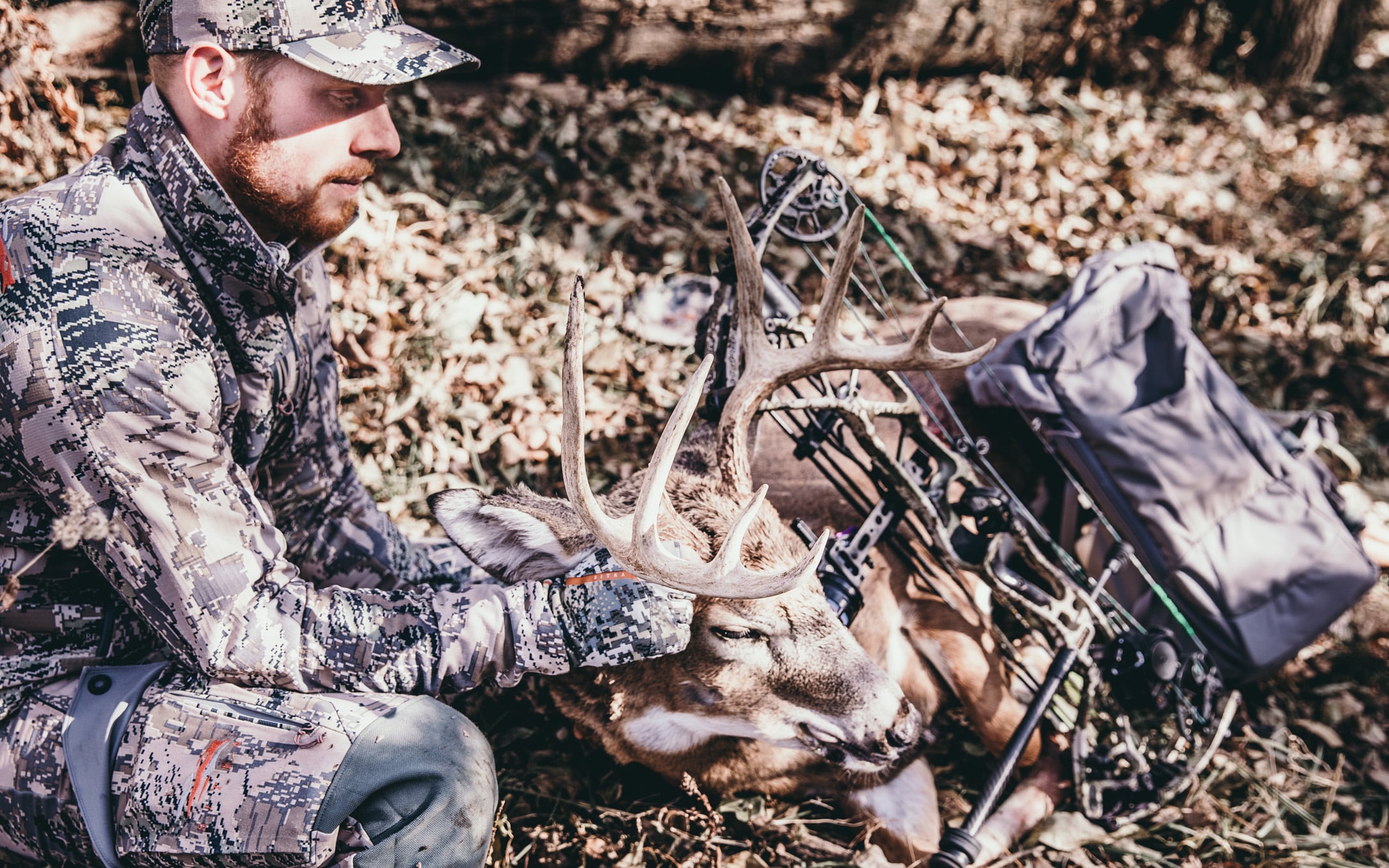 Public-Land Buck