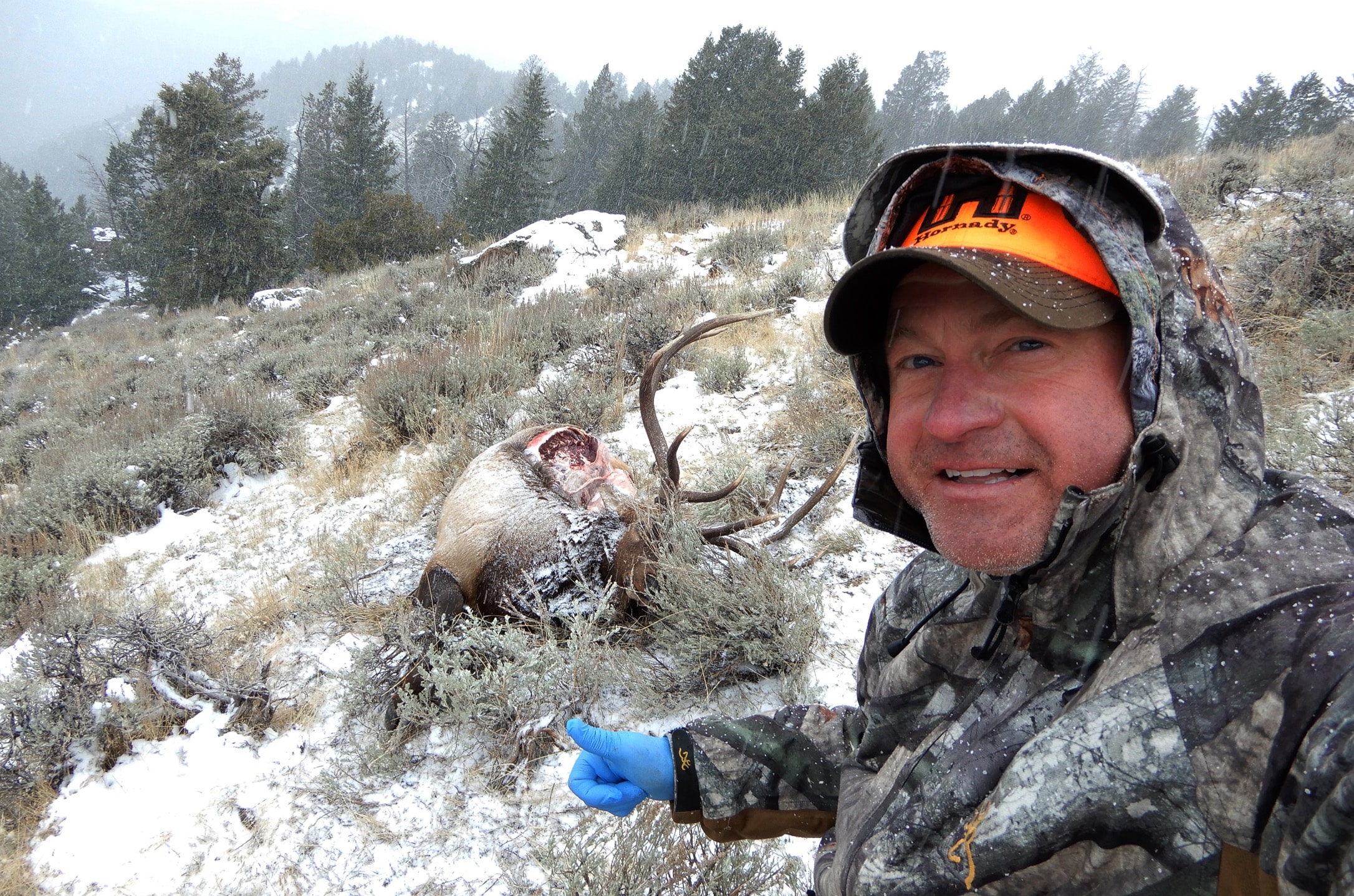 Ready For elk processing