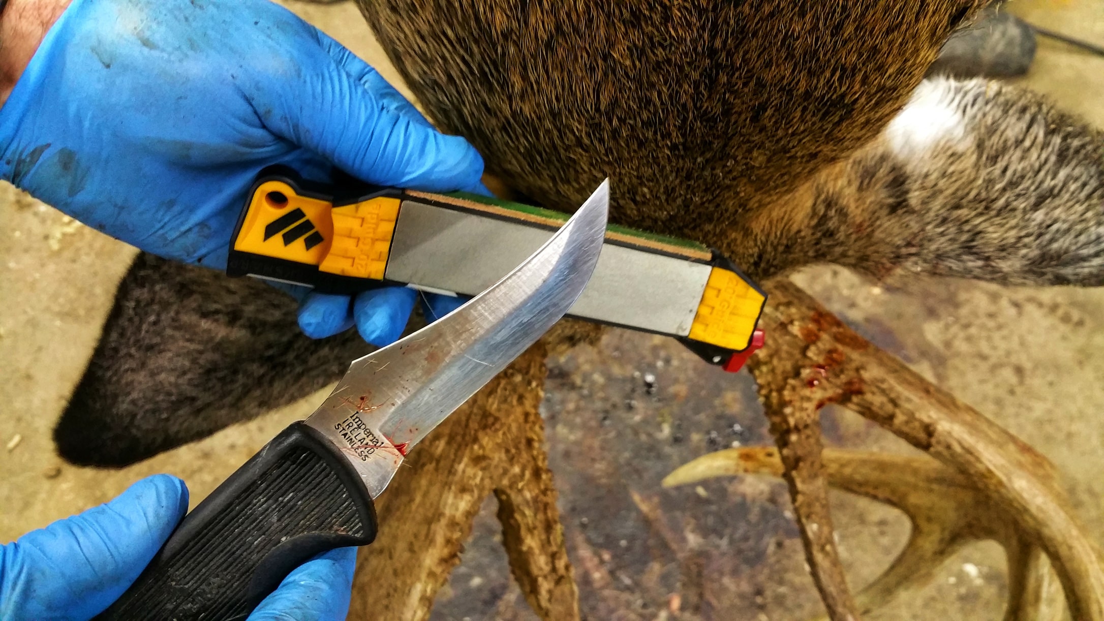 Sharpening a hunting knife