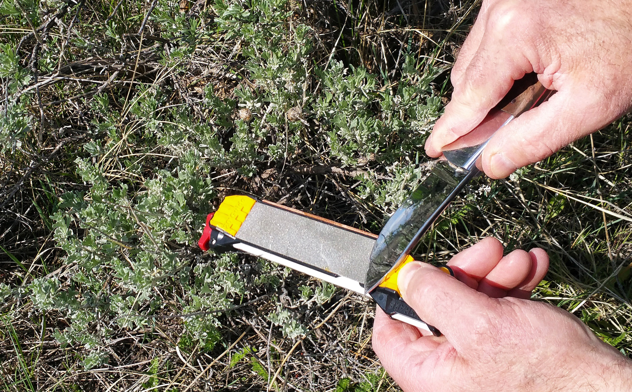 Field Sharpener