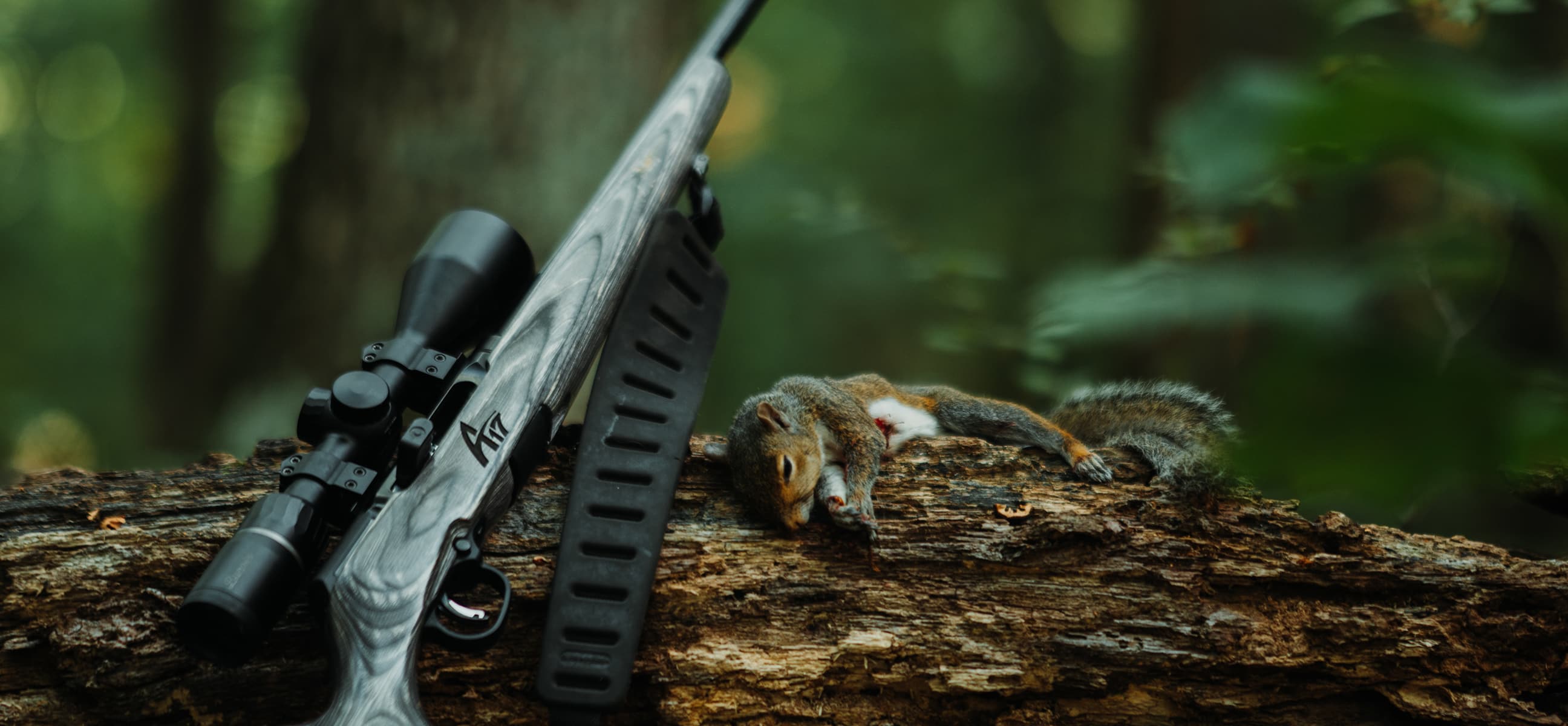 Savage A17 Sporter Rimfire Rifle Review HuntStand
