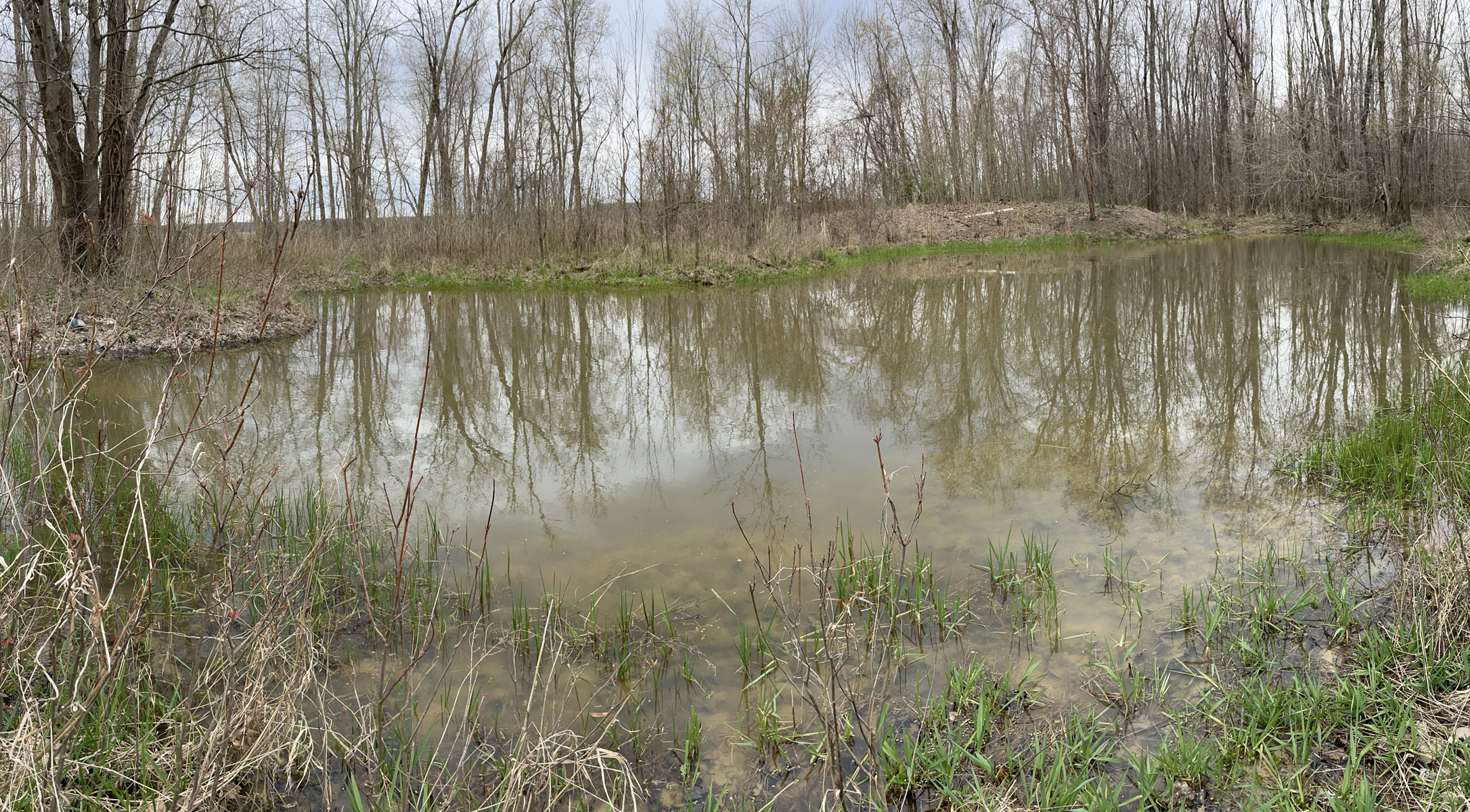 Pre-rut Water Source