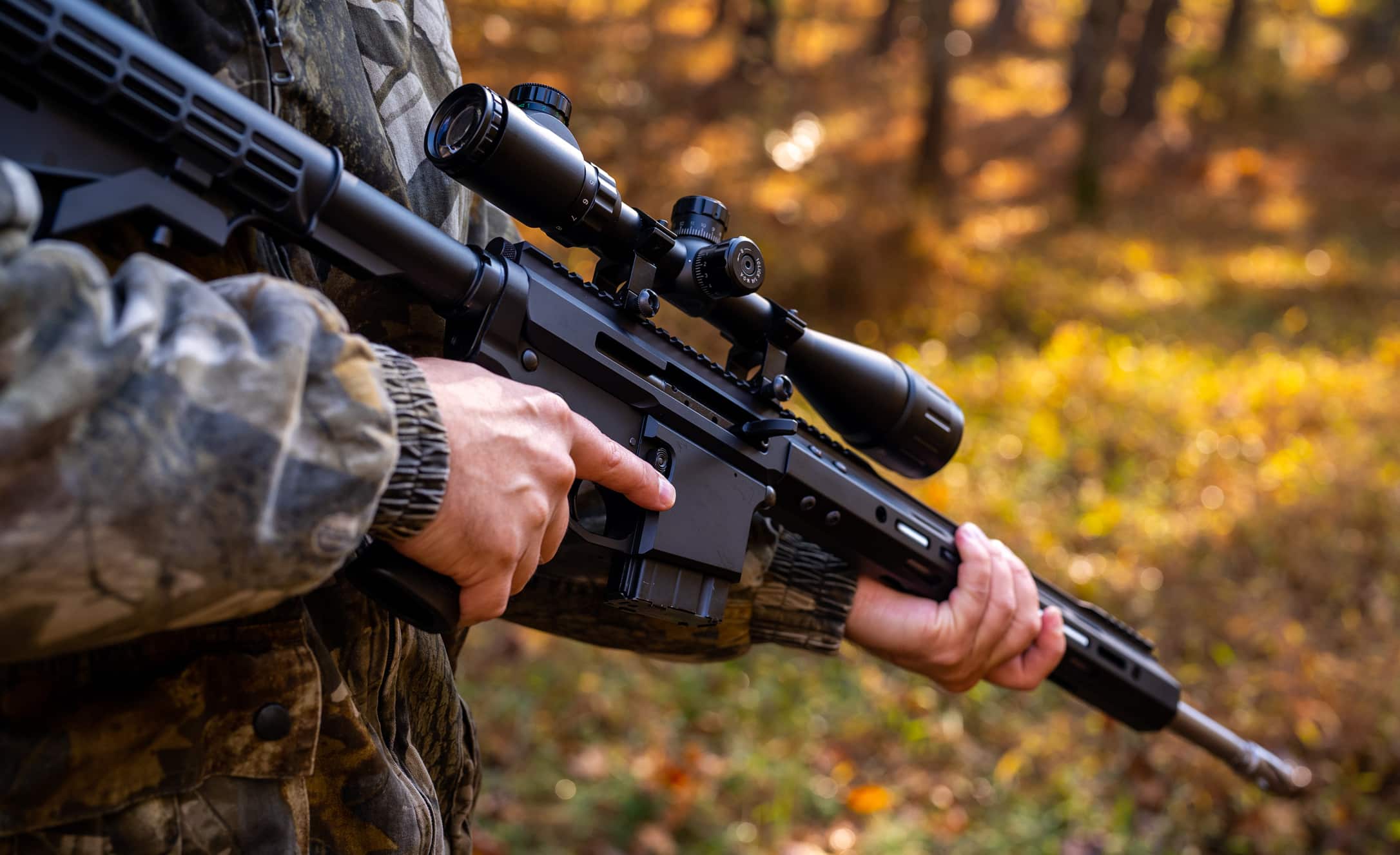 Bear Creek AR-15