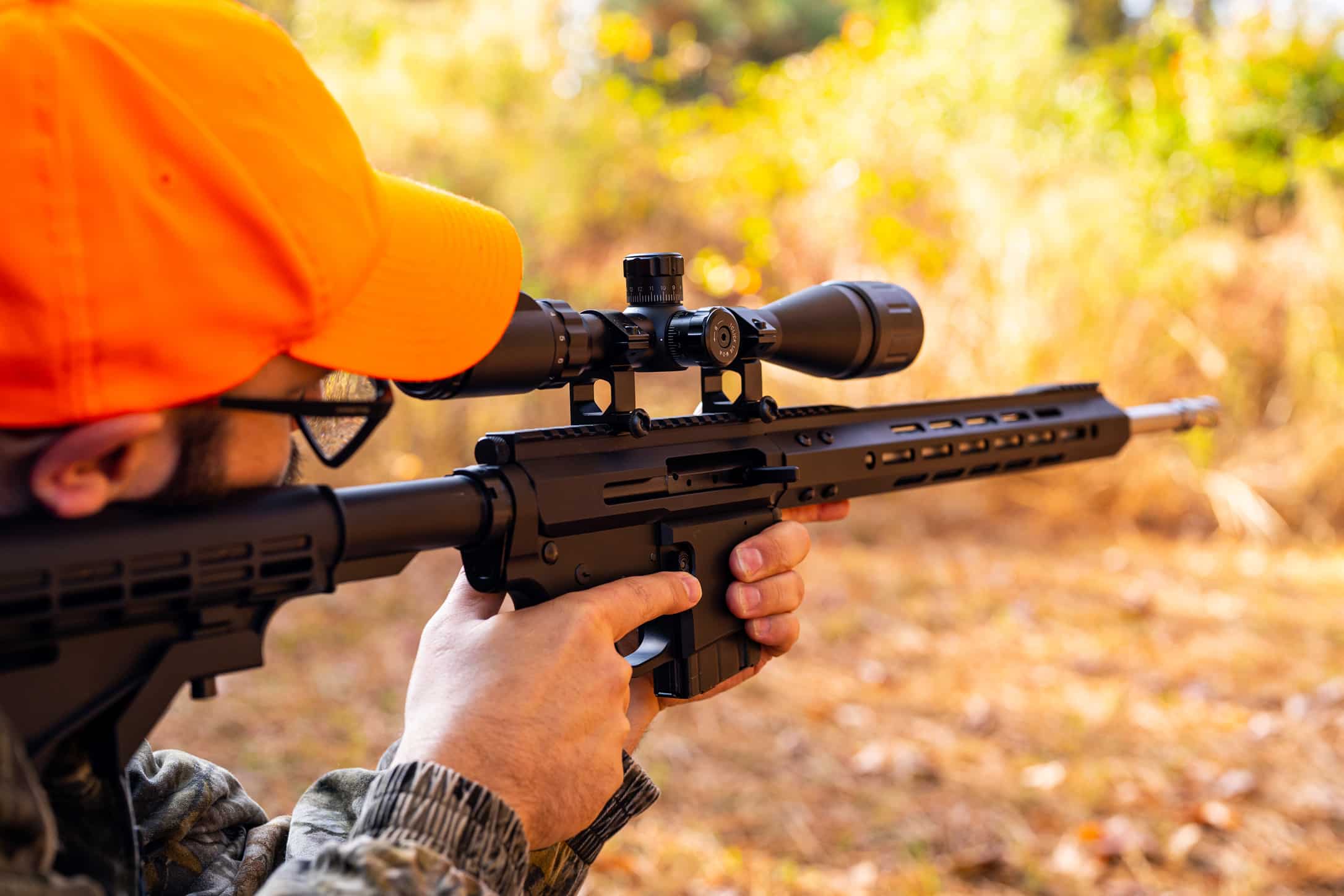AR-15 deer drive