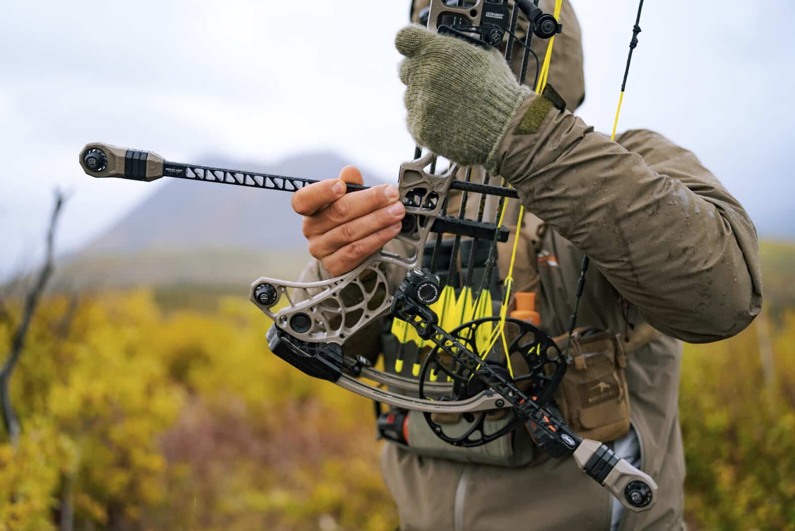 Mathews Phase4 Field