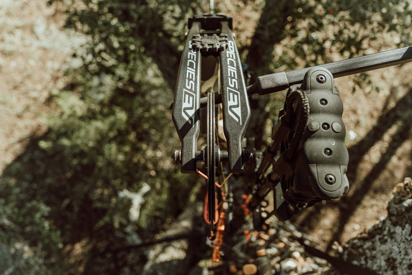 Treestand Hunting with Species EV RTH Package
