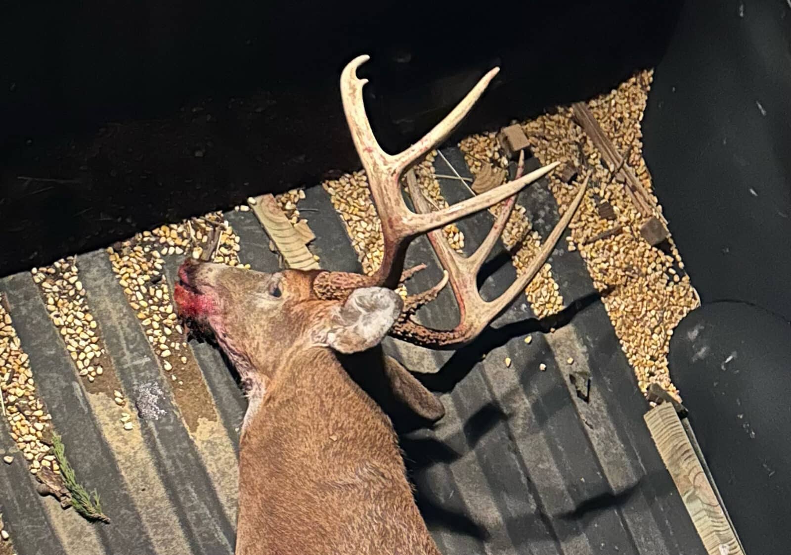 HuntStand success 3 side
