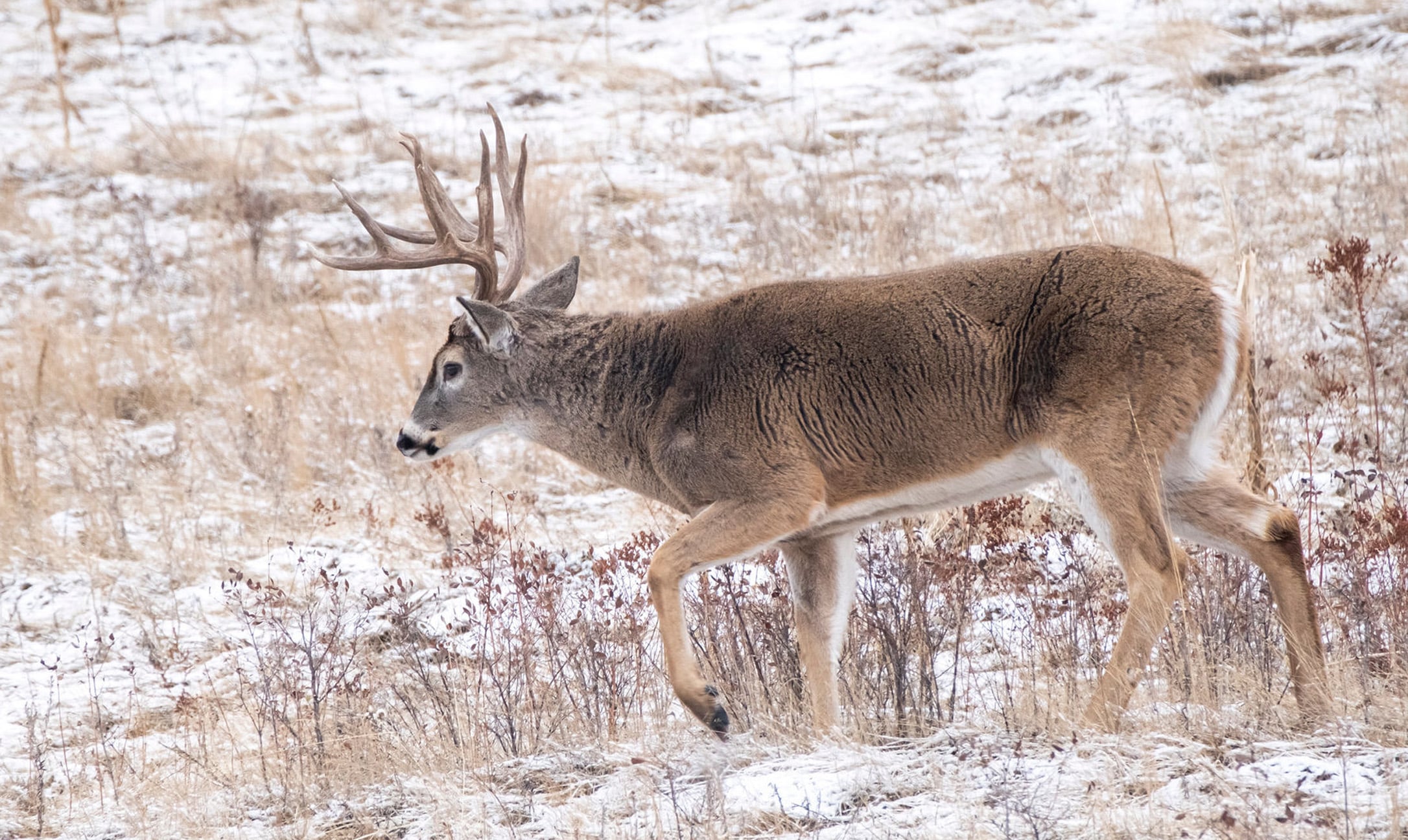 Late-Season ADD2