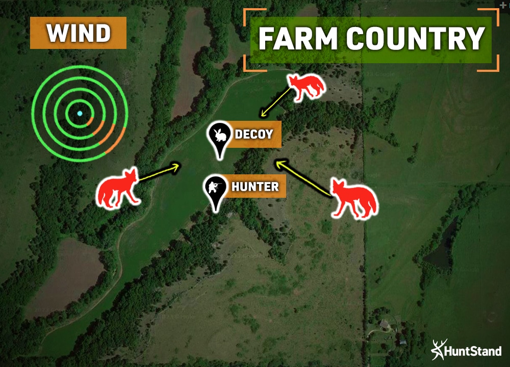 coyote hunting setups farm country