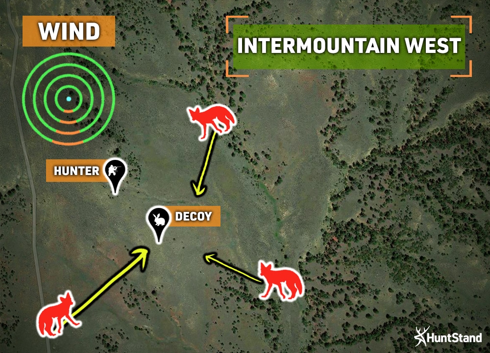coyote hunting setups intermountain west