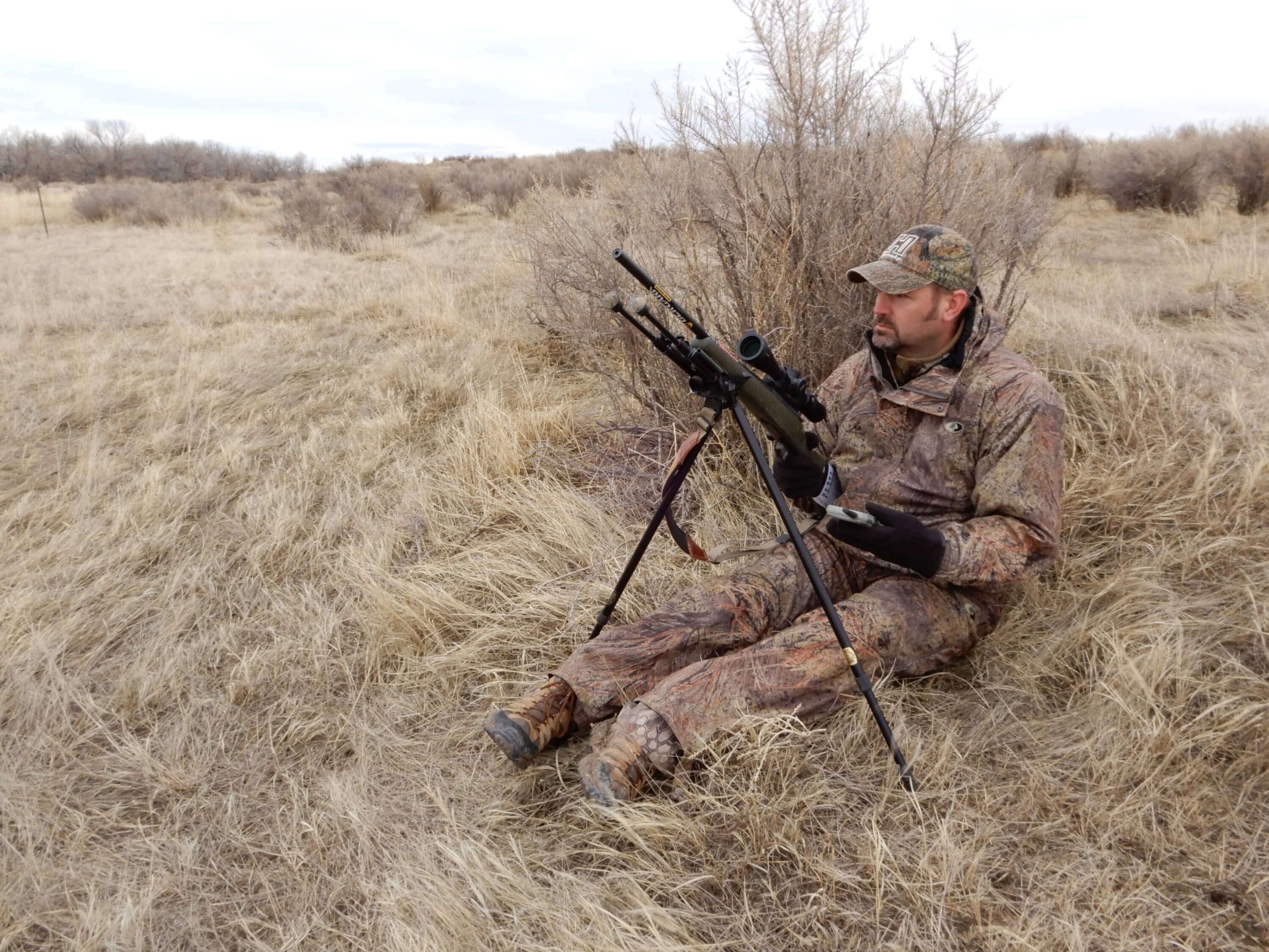 coyote hunting in the desert